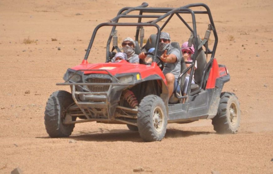 Safari Beach bugy in Desert. 
exciting Moto.